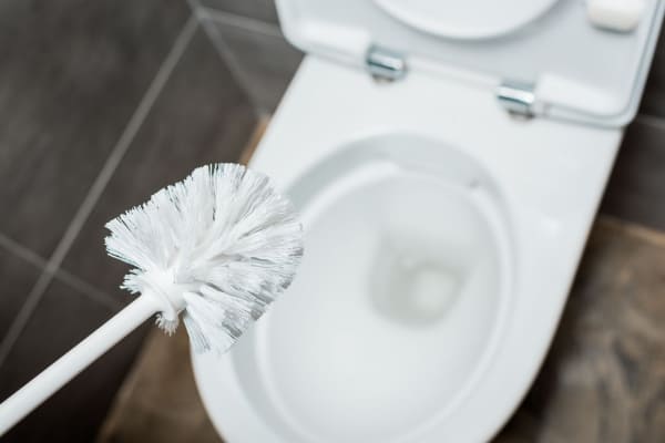 https://mytrustedexpert.com/wp-content/uploads/2021/04/6-Reasons-Why-Your-Toilet-Bowl-Isnt-Flushing-1.jpeg
